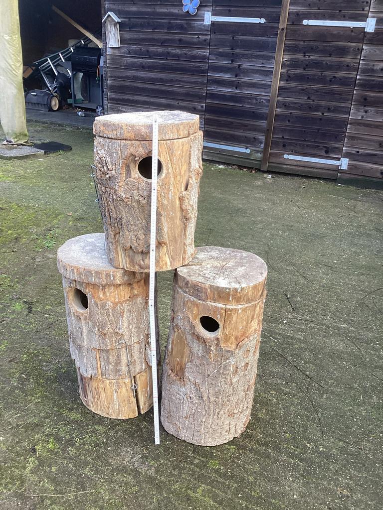 Te koop broed blokken, Meerdere dieren, Parkiet