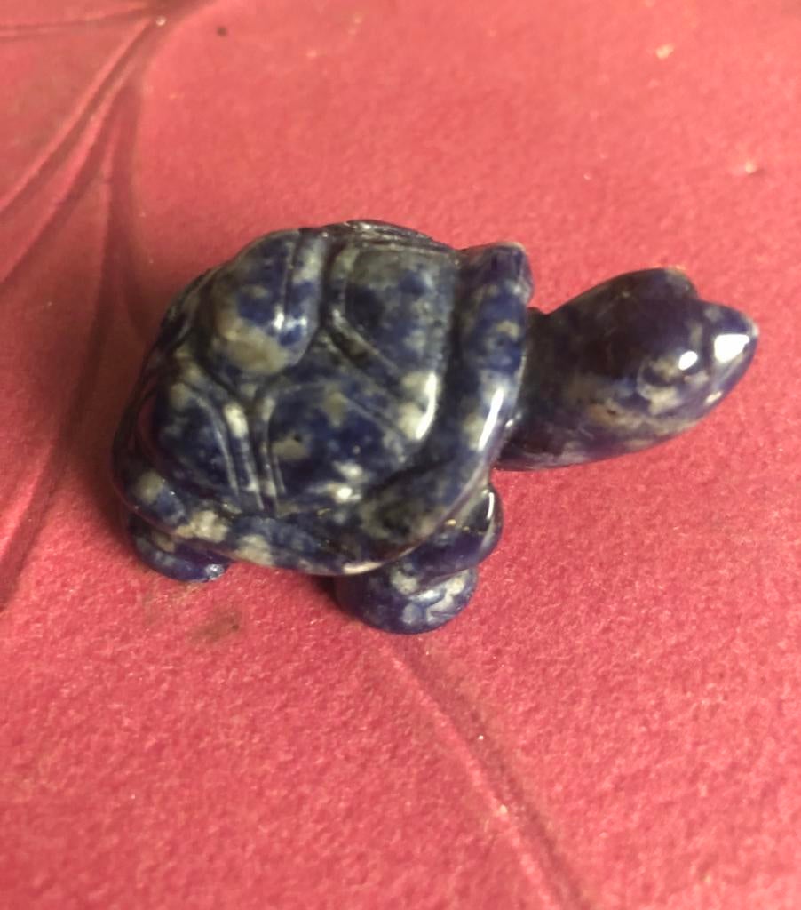 Blauwe sodaliet stenen schildpad, Ophalen