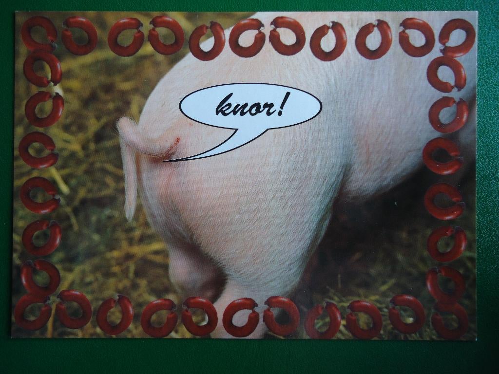 (107) Dierenkaart: VARKEN, Ophalen of Verzenden, 1980 tot heden, Ongelopen, Overige soorten