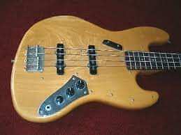 Basles Basgitaarles te  Utrecht, Privéles, Tokkelinstrumenten