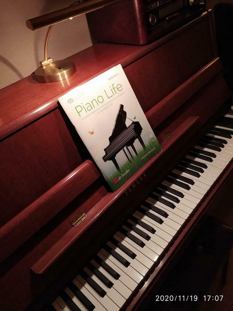 Happy Fingers Pianoles omgeving Dieren, Privéles, Toetsinstrumenten