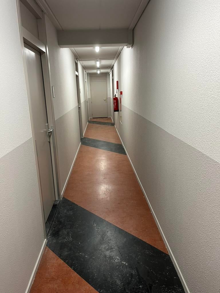 Professionele schilder Binnen & Buiten Deuren & Vliesbehang