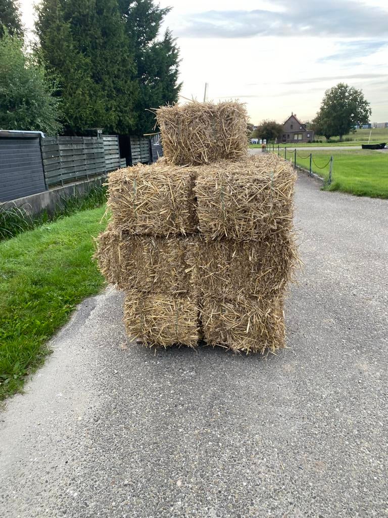 Kleine strobalen - ideaal voor tuin of dierenverblijf, Ophalen, Overige typen