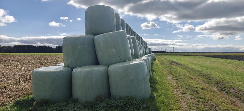 Hooibalen in folie, droog kuilvoer in folie rondebalen, Dieren en Toebehoren, Ophalen, Overige soorten