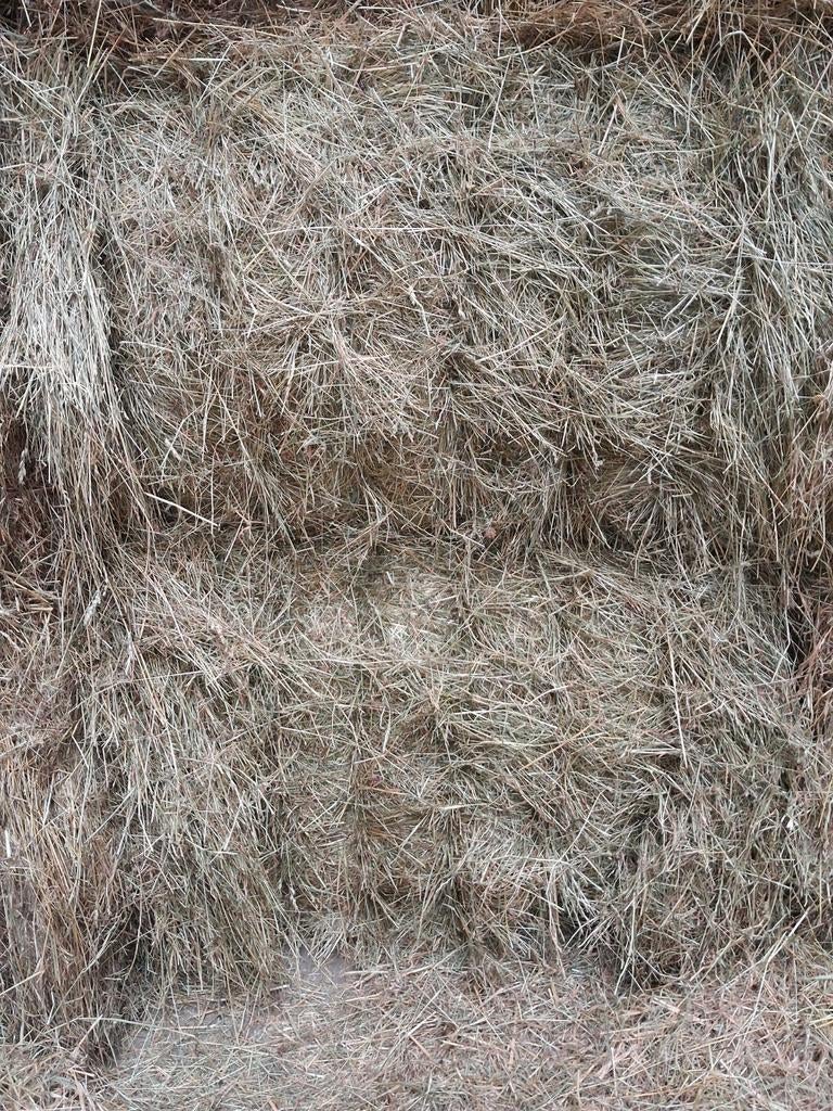 Te koop grote hooi balen bemest land, Dieren en Toebehoren, Dierenvoeding, Ophalen of Verzenden, Vee