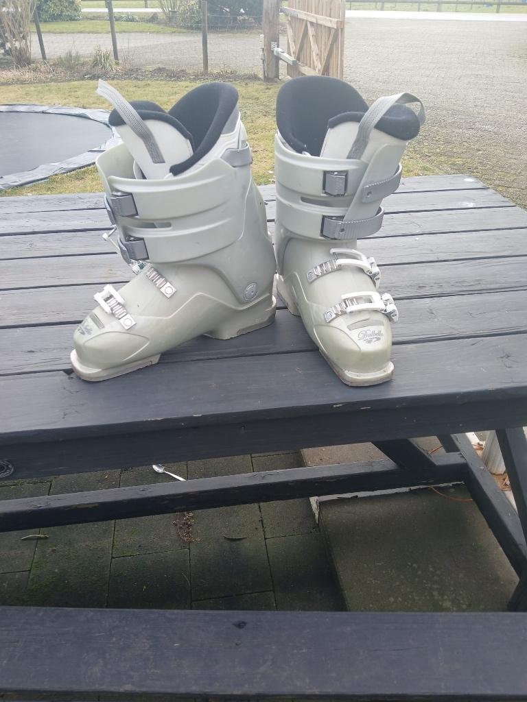 Skischoenen, Sport en Fitness, Skiën en Langlaufen, 160 tot 180 cm, Gebruikt, Schoenen, Ophalen