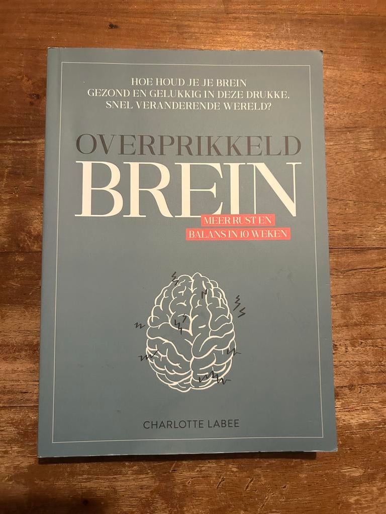Overprikkeld Brein - Meer Rust en Balans, Ophalen, Zo goed als nieuw, Overige onderwerpen