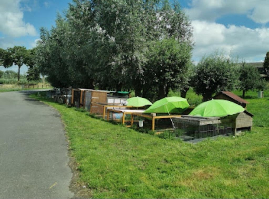 Konijnen en knaagdieren pension vakantieopvang logeeradres, Oppas