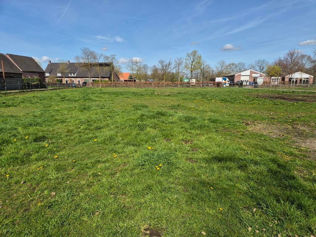 Pony weide met stal te huur op toplocatie.