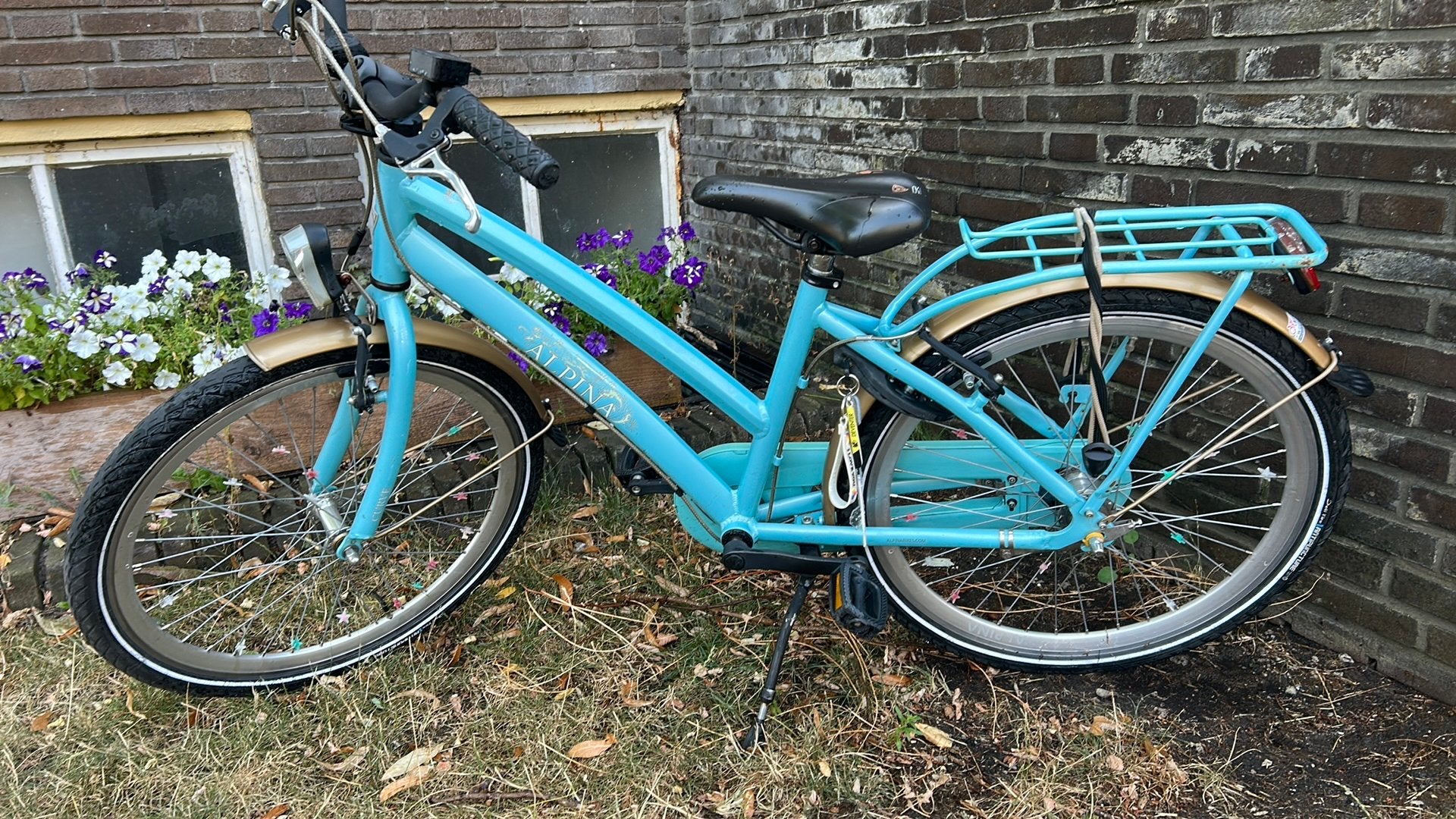Alpina meisjes fiets 24 inch, Fietsen en Brommers, Ophalen, Terugtraprem, Handrem, Gebruikt