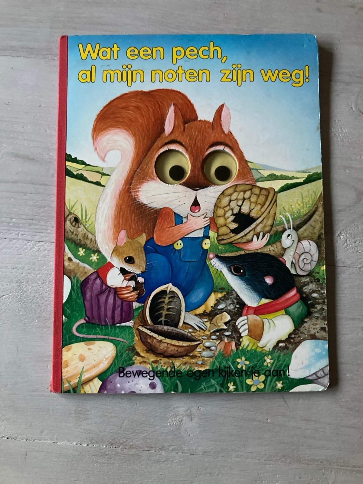 Wat een pech, al mijn noten zijn weg! - Beweegogenboek, Ophalen of Verzenden, Gelezen, Uitklap-, Voel- of Ontdekboek, 2 tot 3 jaar