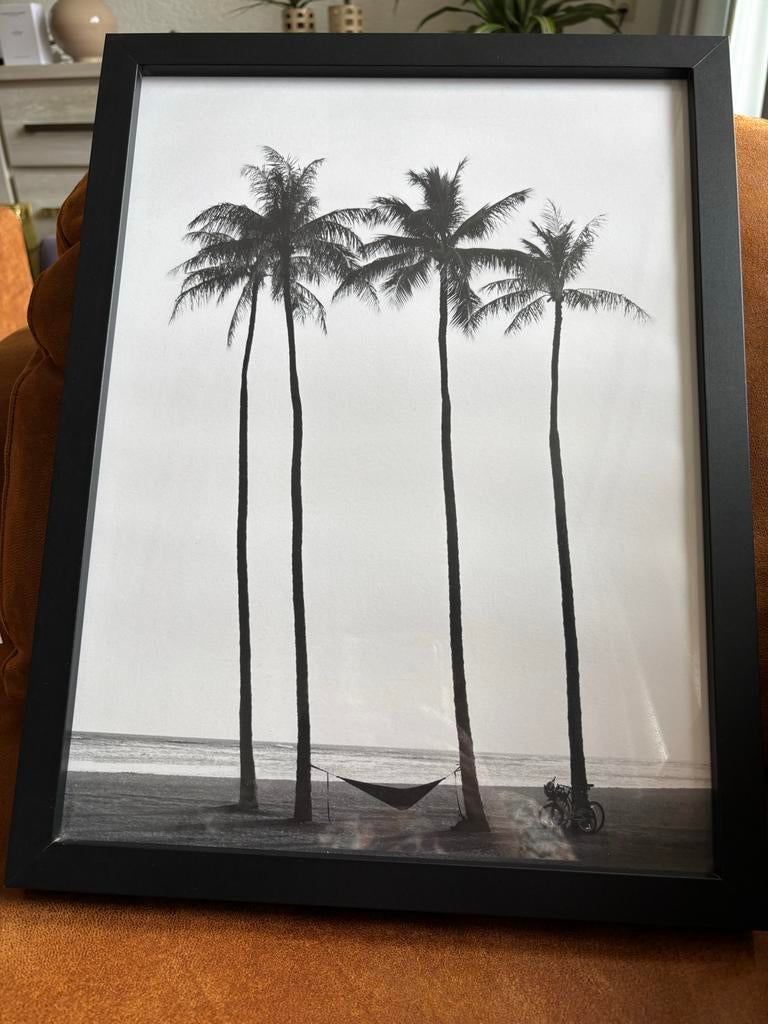 Zwart-wit schilderij met palmbomen en strand, Ophalen