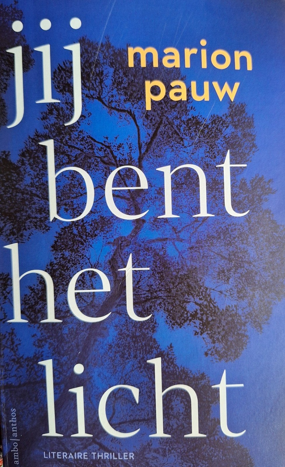 Jij bent het licht. Marion Pauw., Ophalen of Verzenden, Zo goed als nieuw