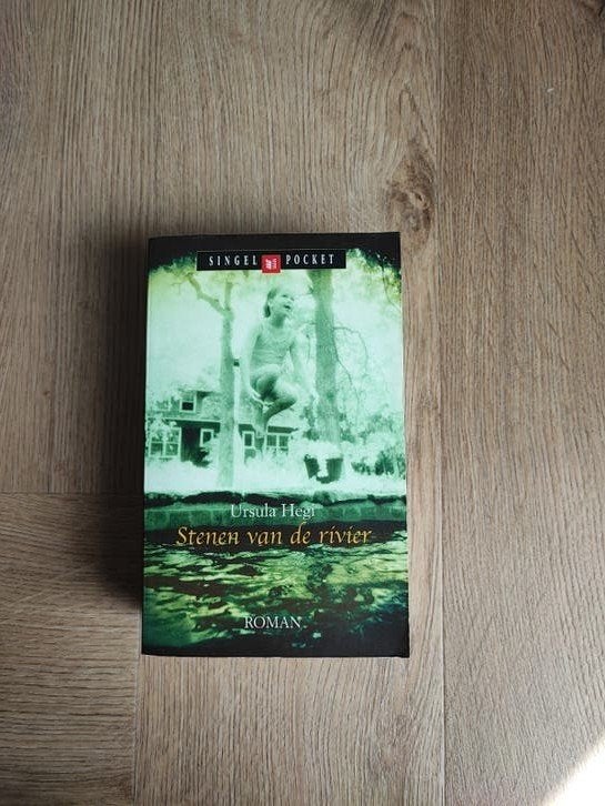 U. Hegi - Stenen van de rivier, Ophalen of Verzenden, Zo goed als nieuw, U. Hegi