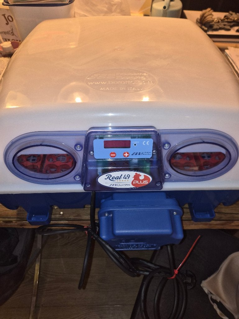 Borotto Real 49 Plus & Expert Volautomatisch + warmte plaat, Geslacht onbekend, Kip