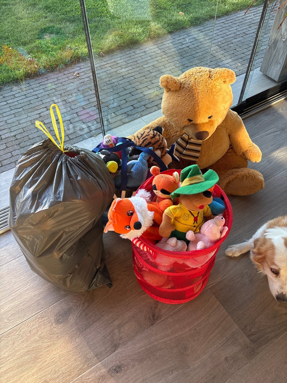 Grote verzameling knuffels, inclusief grote teddybeer, Ophalen, Gebruikt, Beer, Bruin