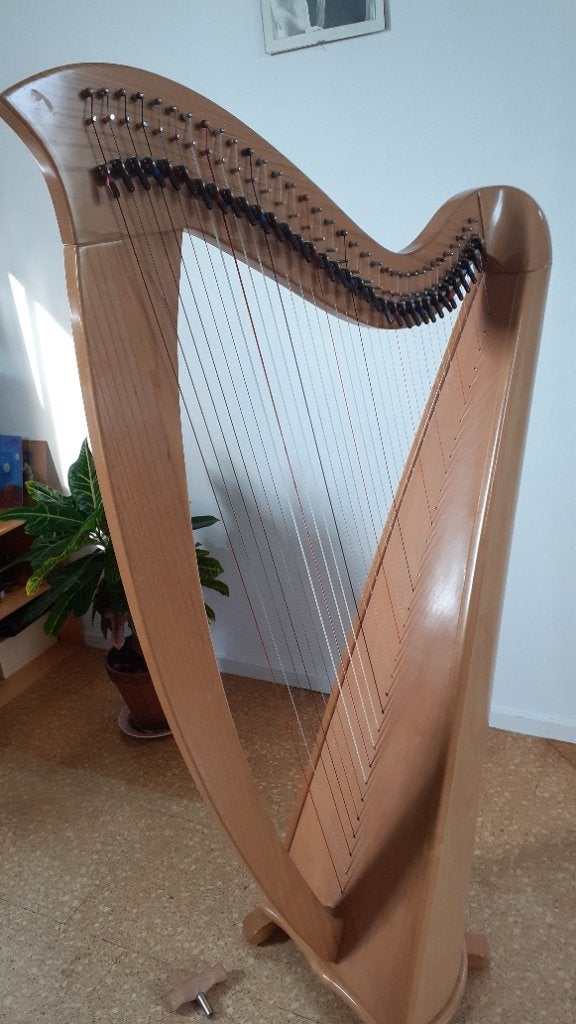 Keltische harp, Muziek en Instrumenten, Ophalen, Zo goed als nieuw