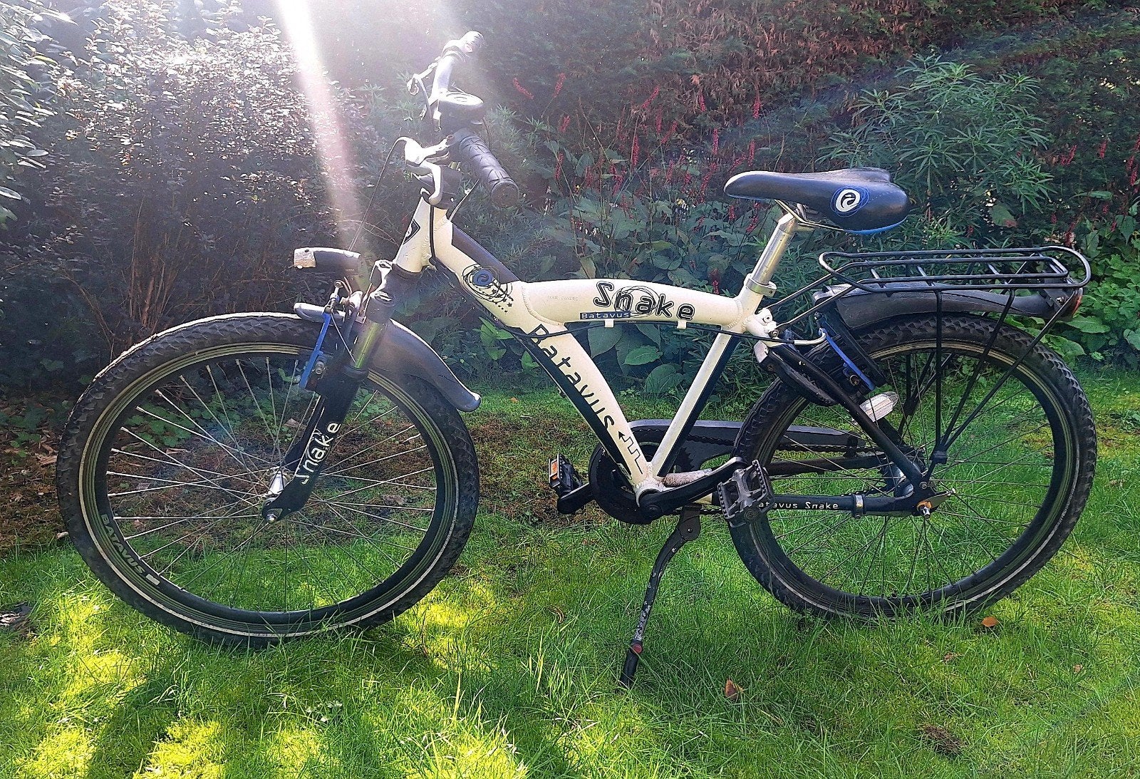 Foto 3 van Batavus Snake fiets - Zo goed als nieuw
