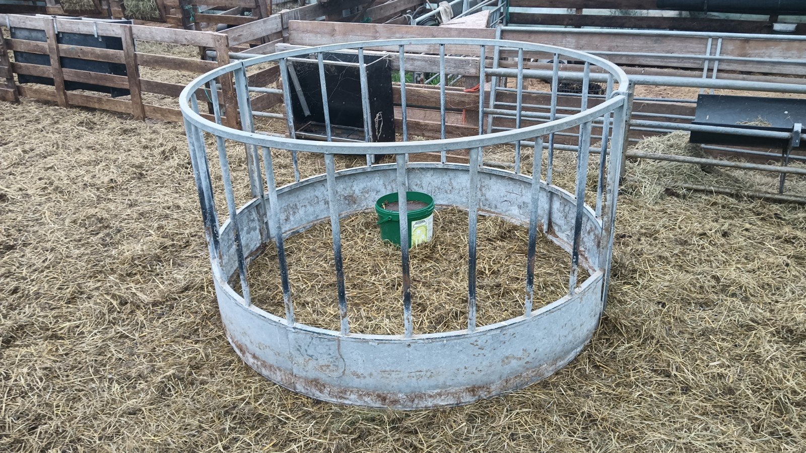 rondebalen voerhek, Geslacht onbekend, Schaap, 0 tot 2 jaar