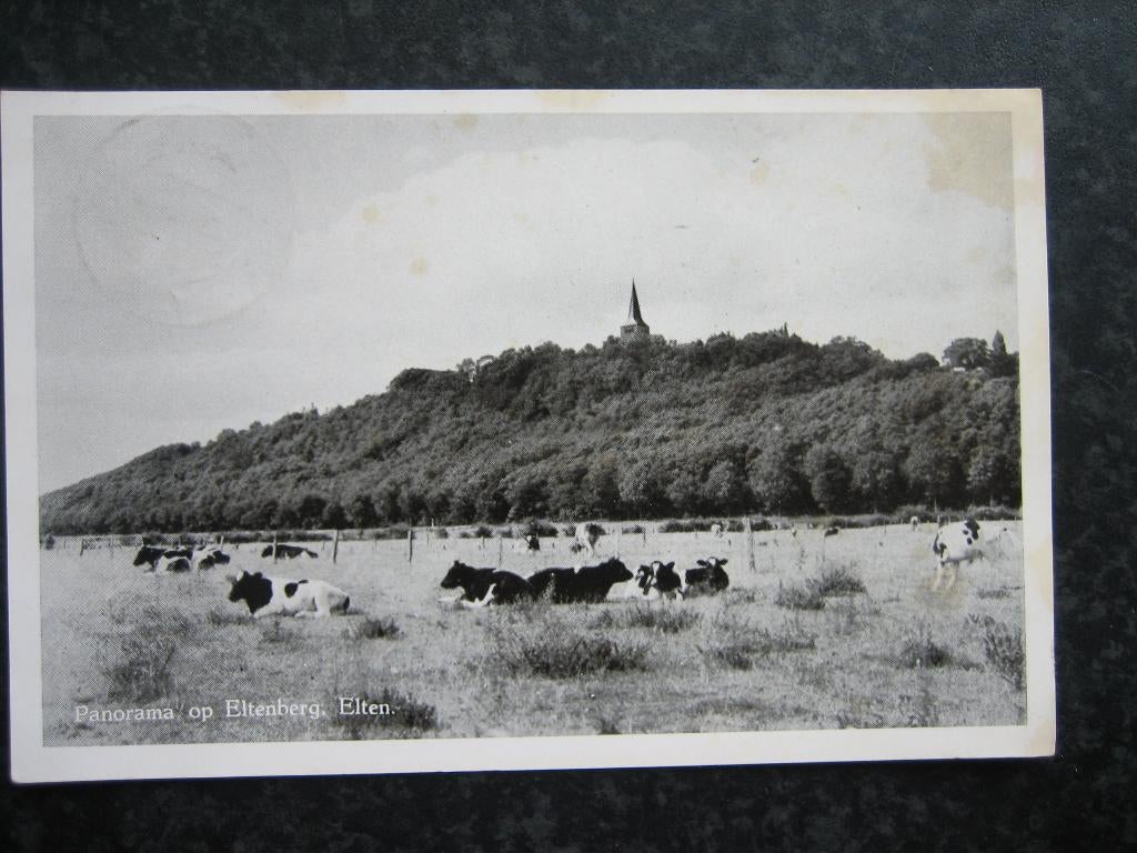 ELTEN Panorama Eltenberg 1953, Ophalen of Verzenden, 1940 tot 1960, Gelderland