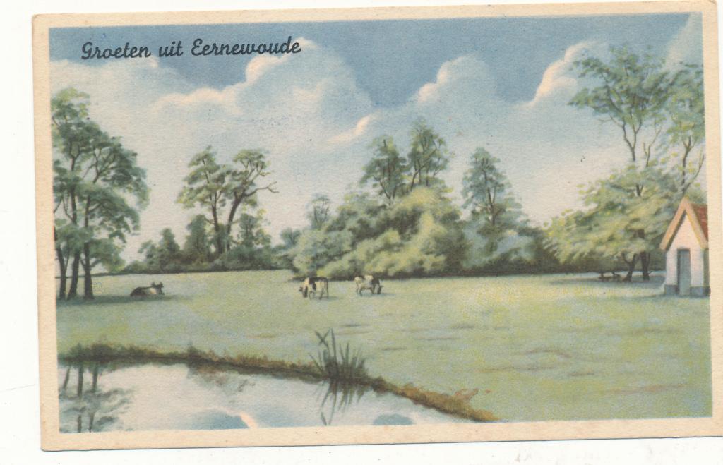 9815  Groeten uit Eernewoude, Ophalen of Verzenden, 1940 tot 1960, Friesland