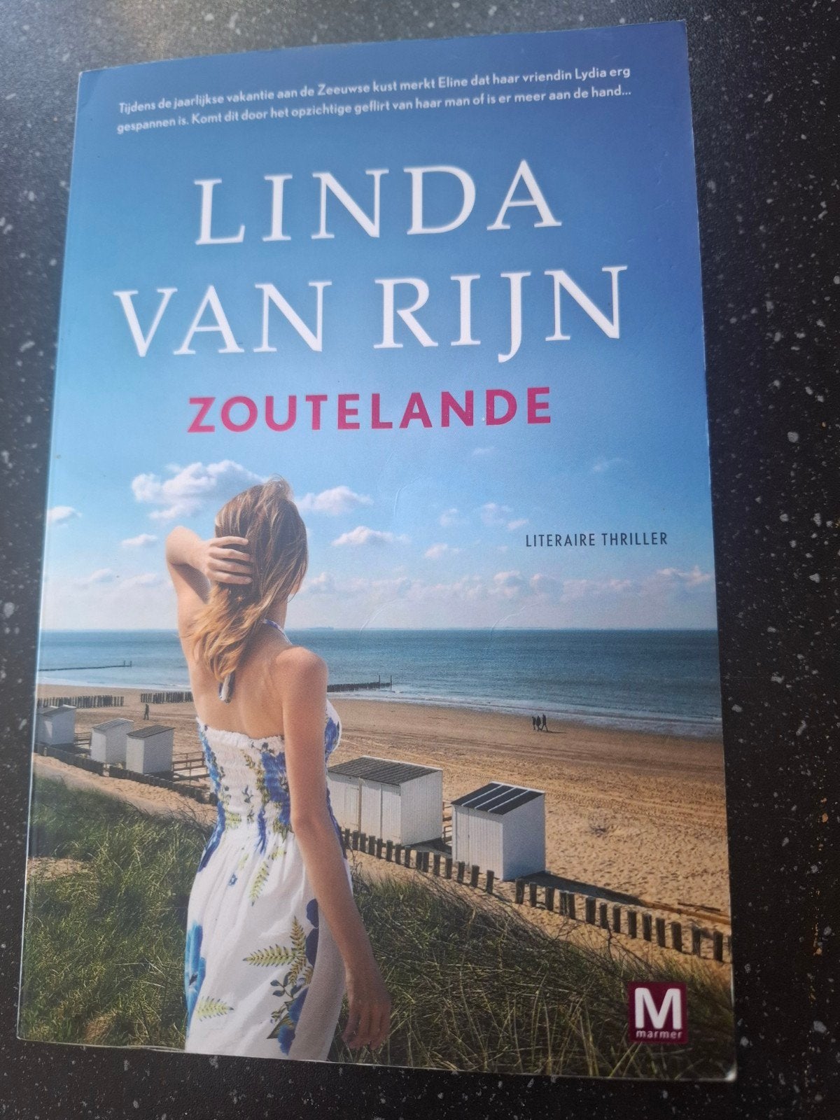 Linda van Rijn - Zoutelande (Literaire thriller), Boeken, Thrillers, Ophalen of Verzenden, Zo goed als nieuw, Linda van Rijn, Nederland