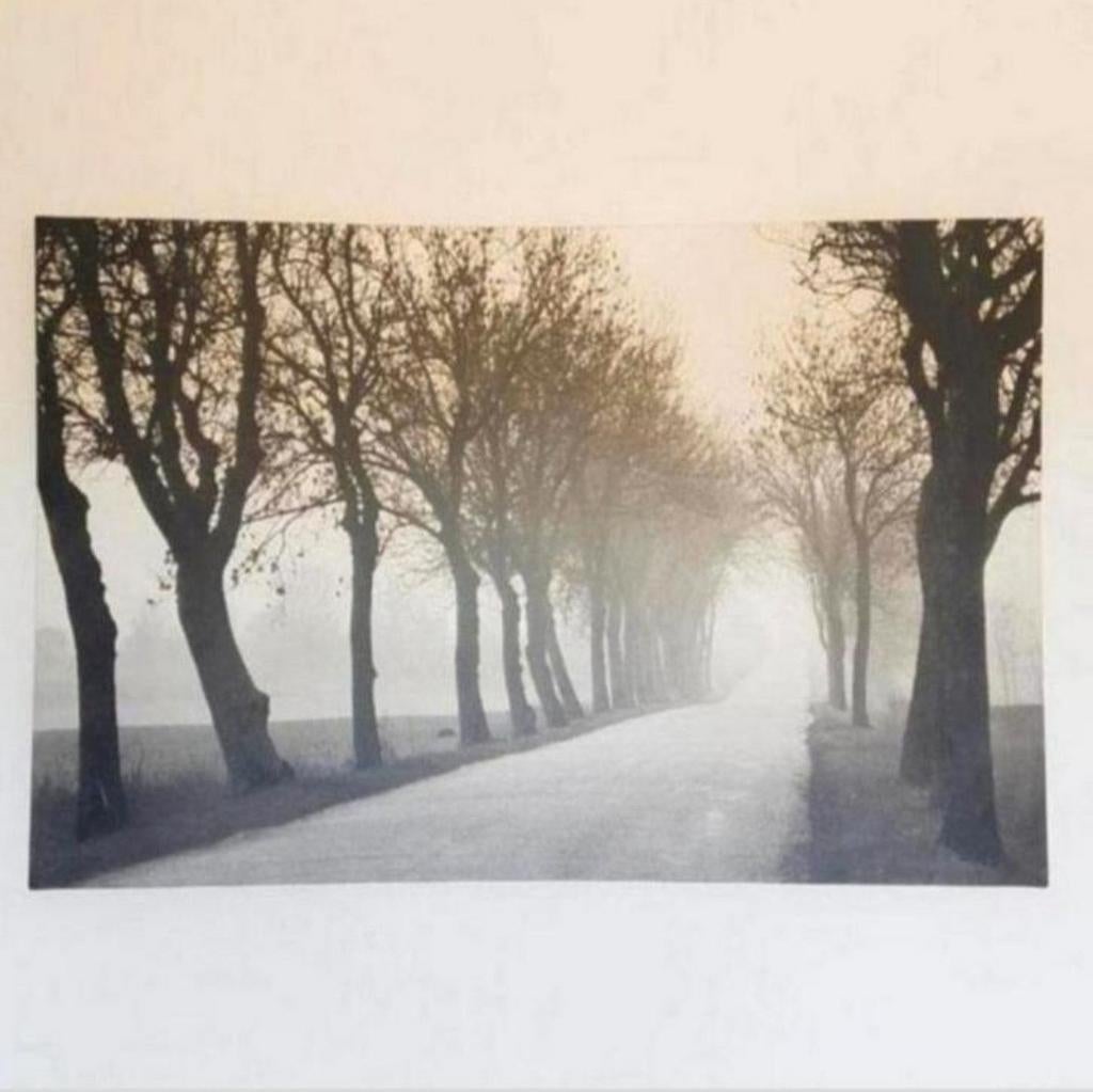 Ikea pjatteryd canvas weg met bomen 78 x 118 cm, Huis en Inrichting, Woonaccessoires | Schilderijen, Tekeningen en Foto's, Ophalen of Verzenden