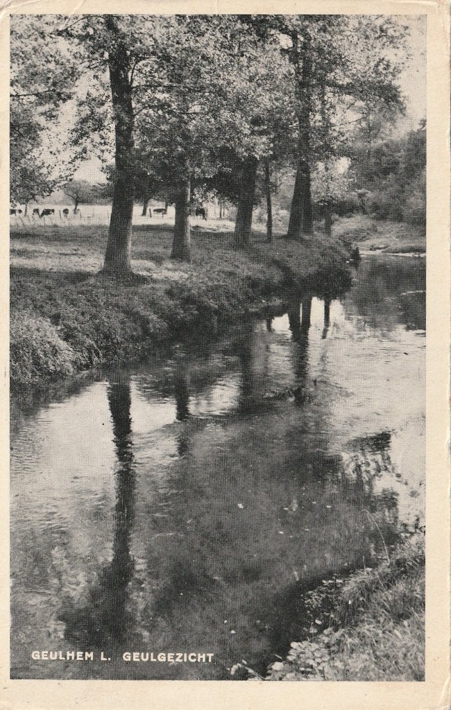 GEULHEM Geulgezicht, Verzenden, 1940 tot 1960, Gelopen, Limburg