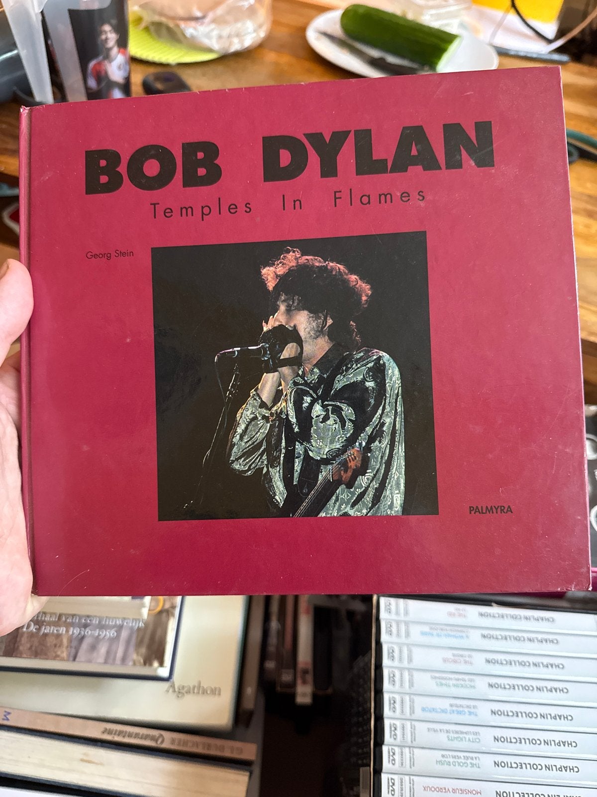 Bob Dylan - Temples In Flames (Georg Stein), Boeken, Muziek, Ophalen of Verzenden, Zo goed als nieuw, Artiest