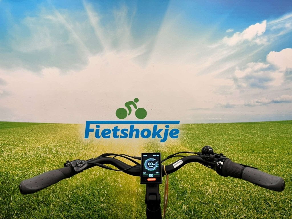 Fietshokje Amersfoort: Nieuwe Raaks Lugano E-Bike N8, Niet ingevuld, Nieuw, Ophalen of Verzenden, 59 cm of meer