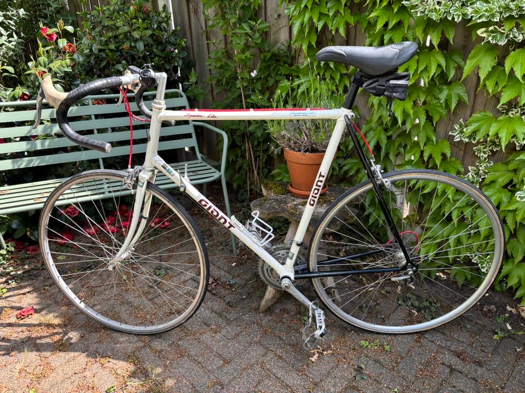 Vintage goed rijdende racefiets, merk Giant, Ophalen, 28 inch, Gebruikt, Velgrem