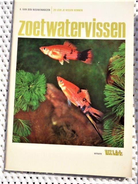4 delen zo leer je vogels 2 en 2 vissen rizla,Natuur,RECLAME, Boeken, Prentenboeken en Plaatjesalbums, Zo goed als nieuw, Plaatjesalbum