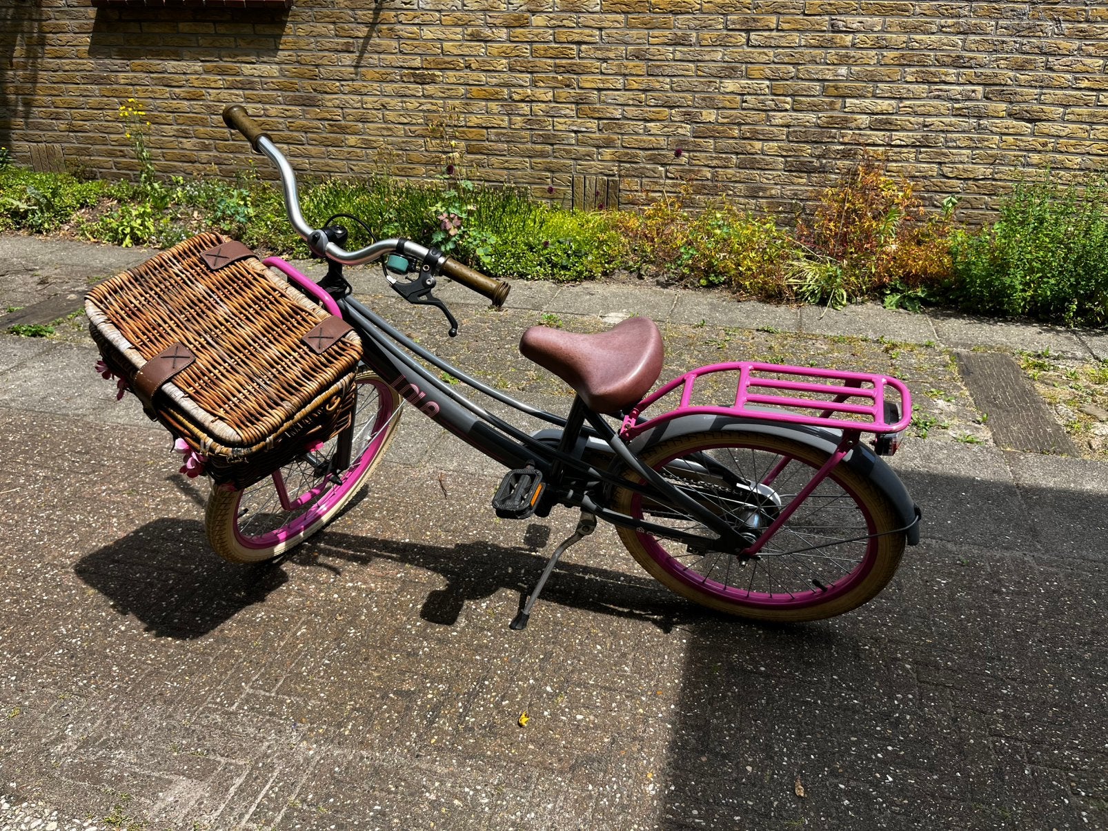 Popal lola meisjesfiets 20 inch, Ophalen, Velgrem, 20 inch, Handrem