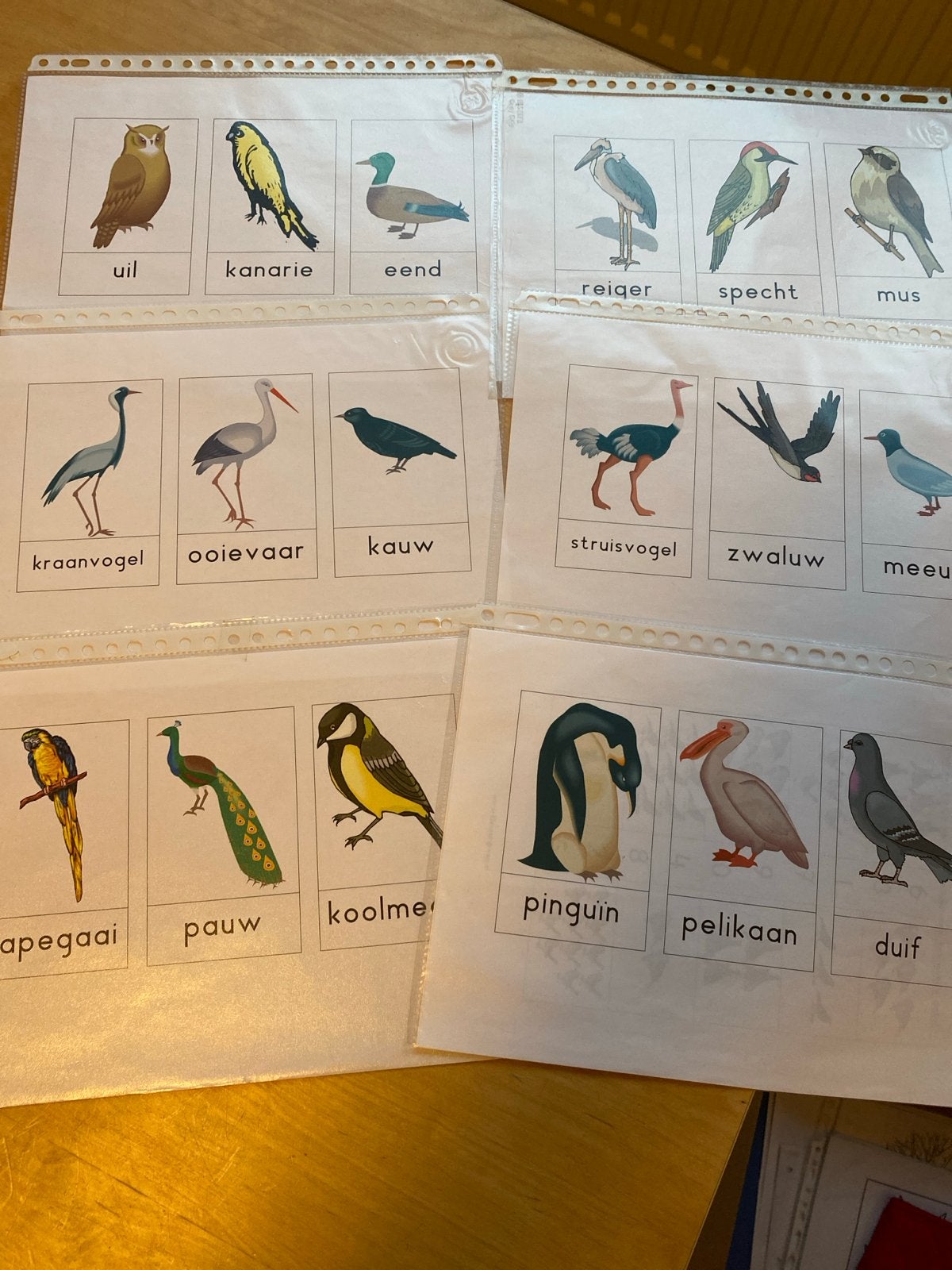 Woordkaartjes met vogels, kleuters, Dieren en Toebehoren, Vogels | Overige Vogels, Meerdere dieren