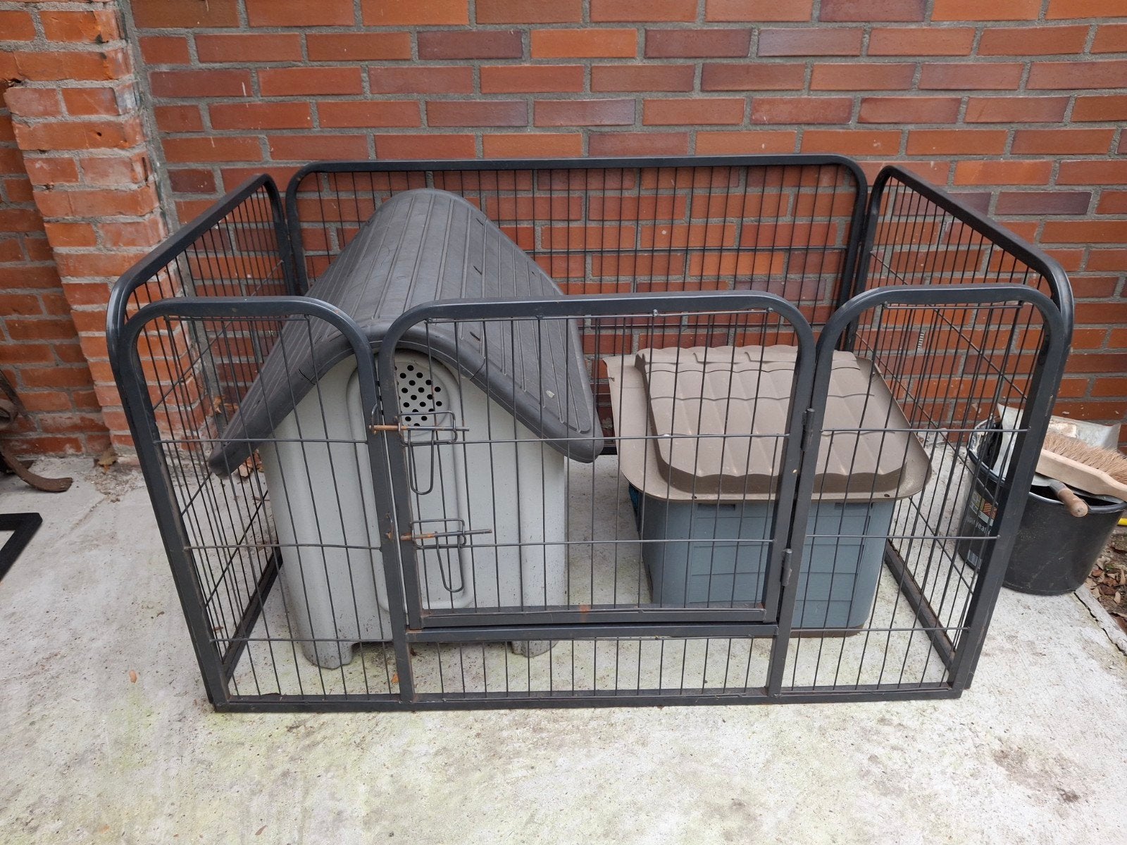 Puppy/hondenren, Dieren en Toebehoren, Ophalen, Gebruikt
