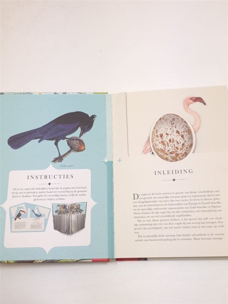 Fraaie Vogels — Press-out Boek, 50 Soorten Wereldwijd, Boeken, Dieren en Huisdieren, Ophalen of Verzenden, Gelezen, Vogels