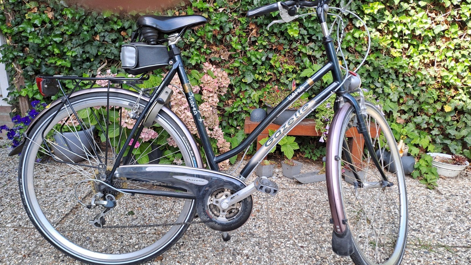 Gazelle Bahia damesfiets 21 versn, Ophalen, Gebruikt, 56 cm of meer, Meer dan 20 versnellingen
