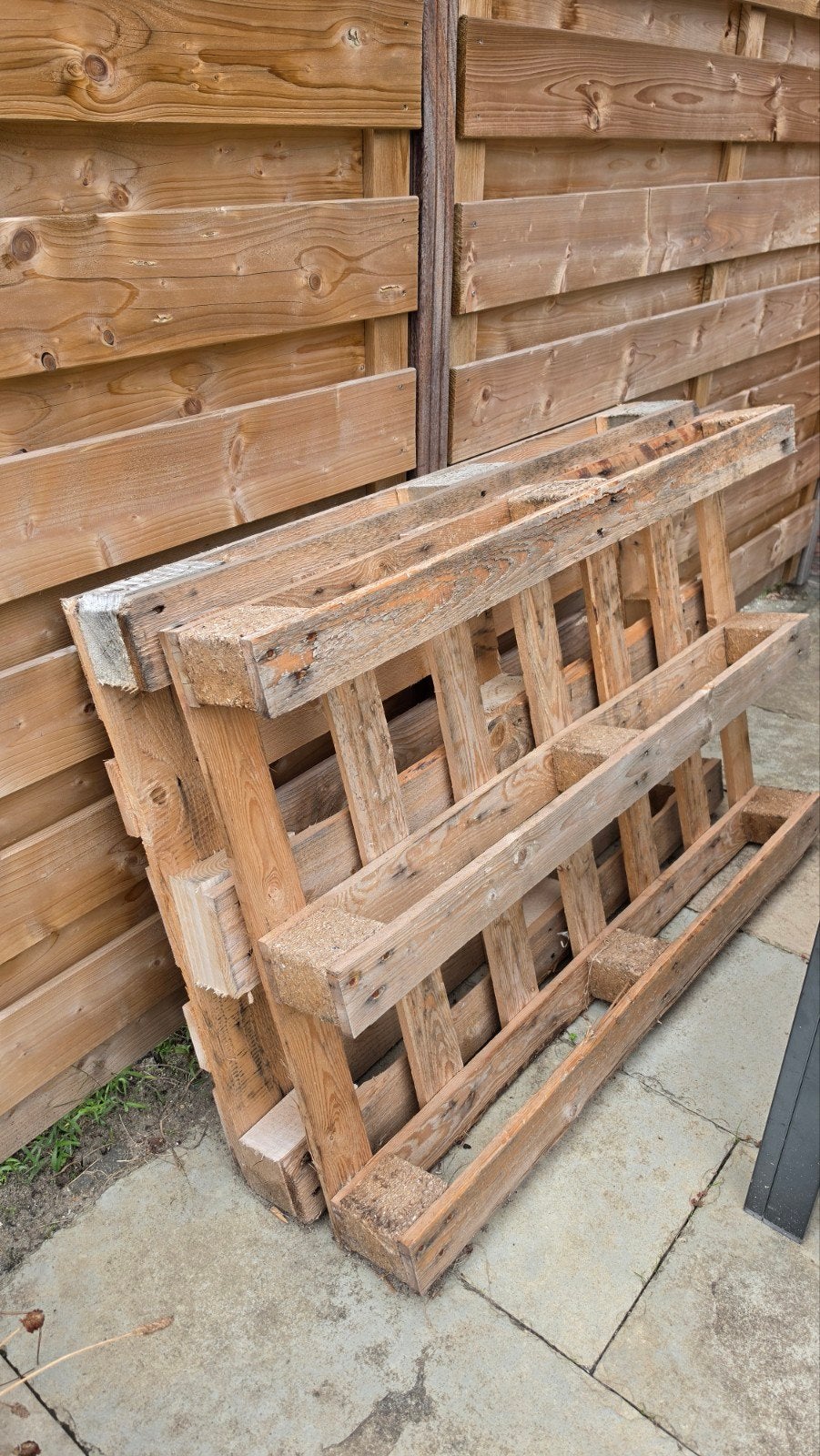 Pallets gratis af te halen, Ophalen, Gebruikt, 50 mm of meer, Pallet