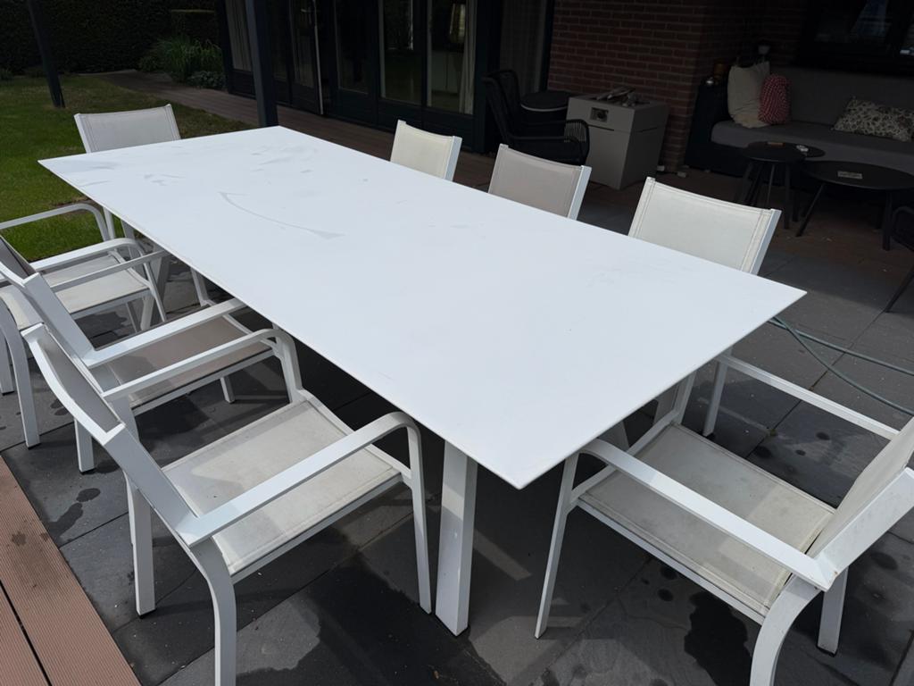Grote tuinset met tafel (260x110cm) en 8 stoelen, Ophalen, Gebruikt, Eettafel, Aluminium