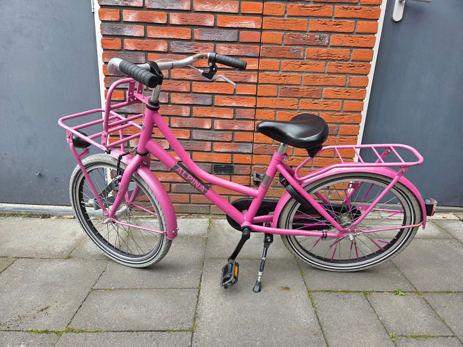 Alpina Cargo 20 inch, Fietsen en Brommers, Fietsen | Meisjes, Ophalen, Terugtraprem, Gebruikt, Handrem