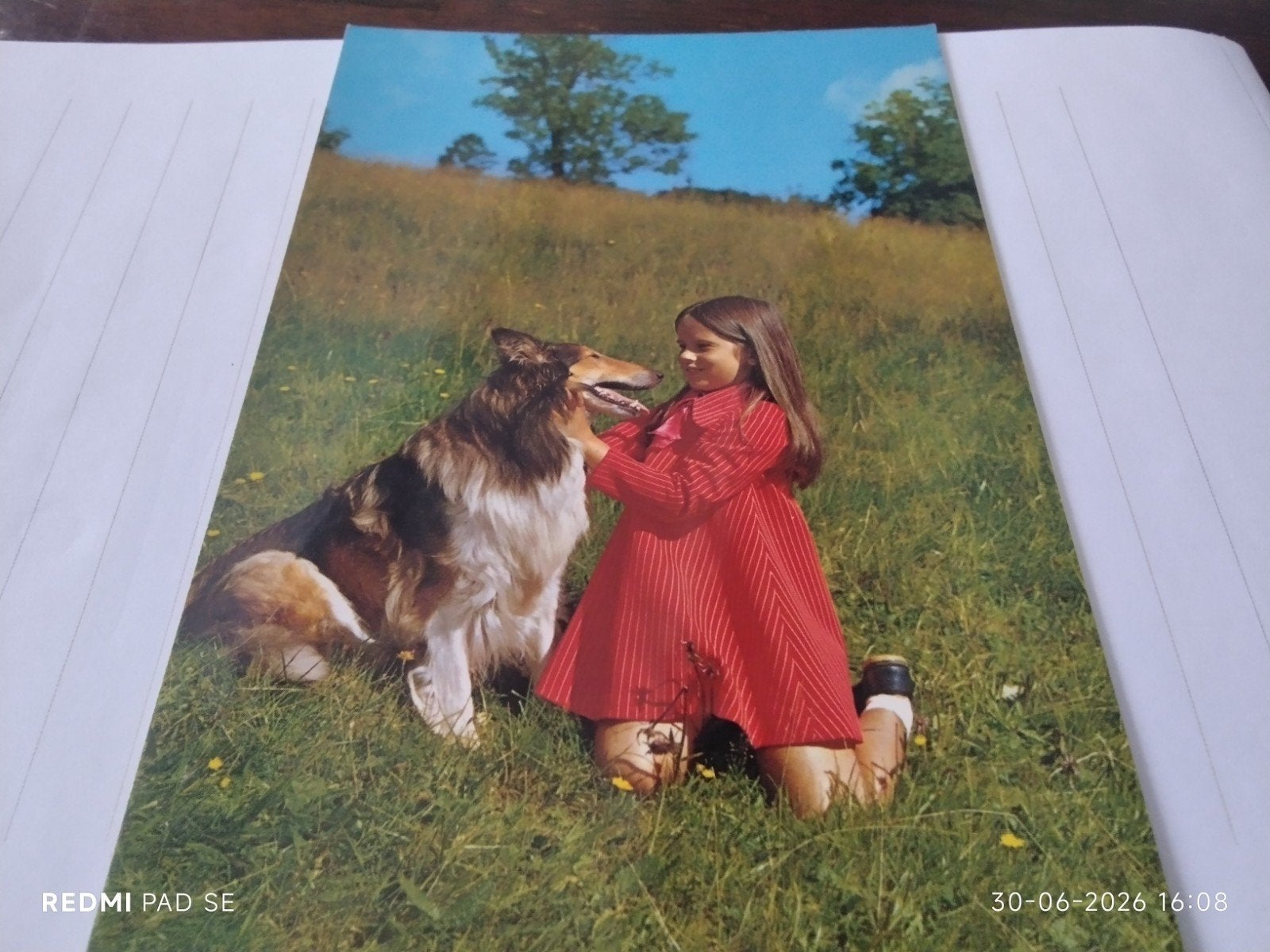 Ongelopen ansichtkaart meisje met hond (Collie), Ophalen of Verzenden, 1960 tot 1980, Ongelopen