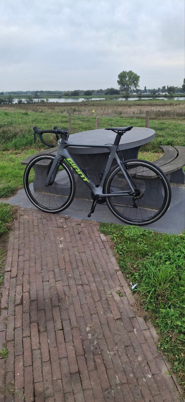 Giant Propel Advanced 2 racefiets, Fietsen en Brommers, Ophalen of Verzenden, Carbon, Meer dan 20 versnellingen, Giant