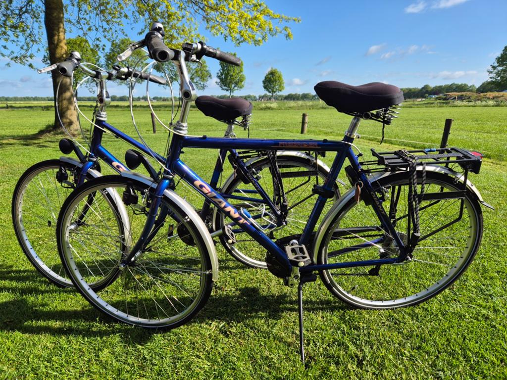 Set Giant fietsen zgan, Ophalen, Zo goed als nieuw, Meer dan 20 versnellingen, Giant