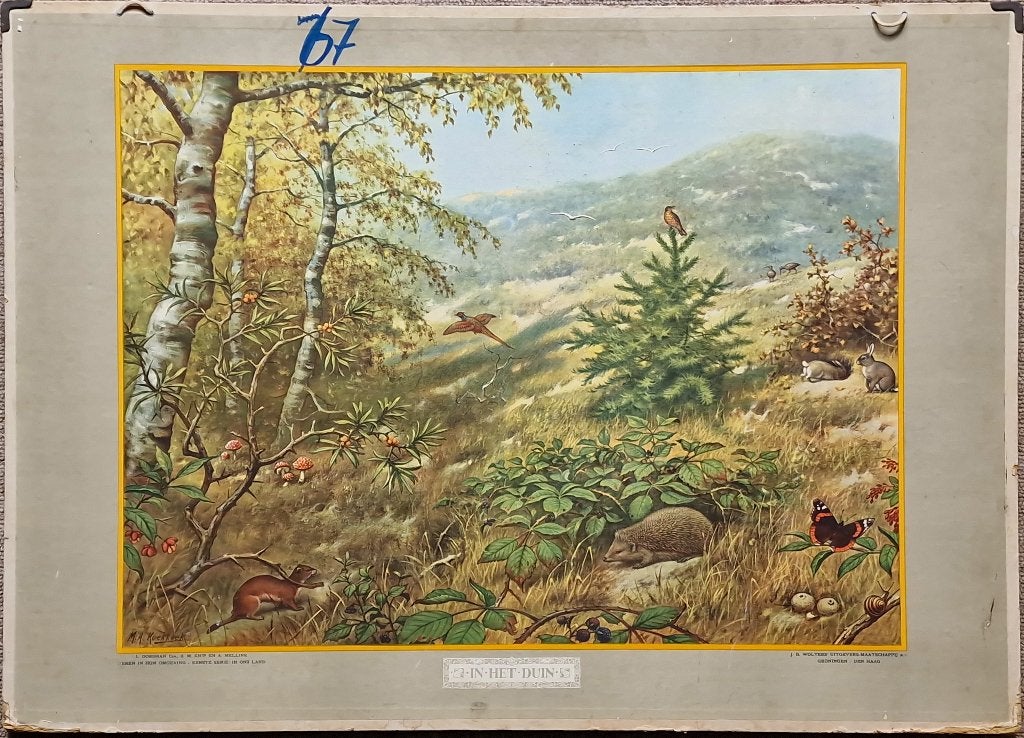 In het duin / M.A. Koekkoek, Ophalen, Geschiedenis