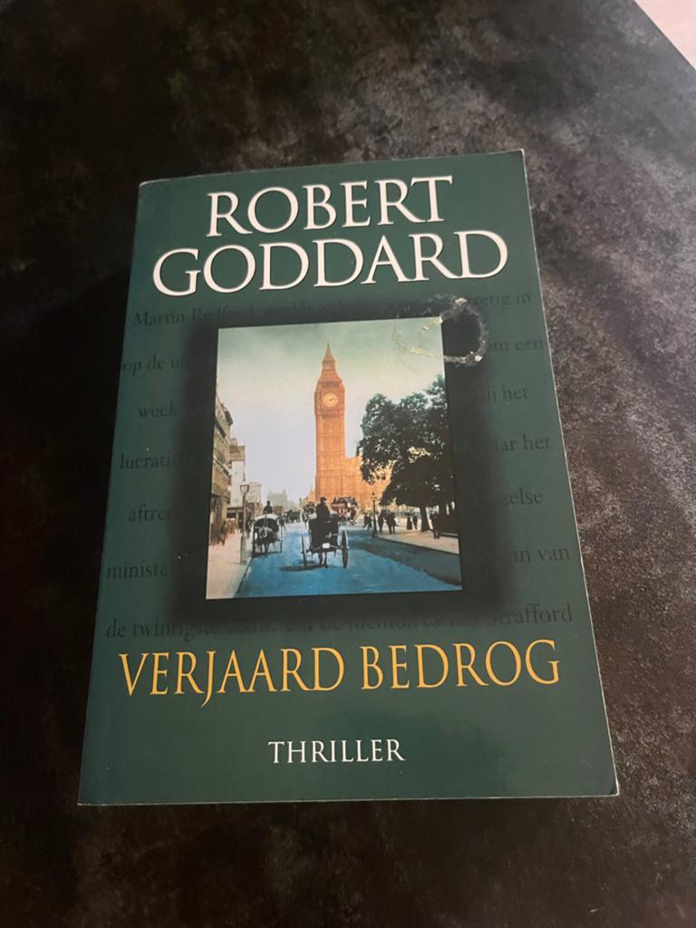 Verjaard Bedrog - Robert Goddard (Thriller), Boeken, Thrillers, Gelezen, Ophalen of Verzenden