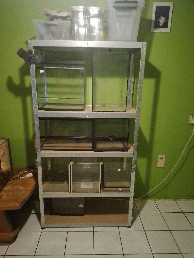 terraium s, Ophalen, Zo goed als nieuw, Terrarium of Paludarium
