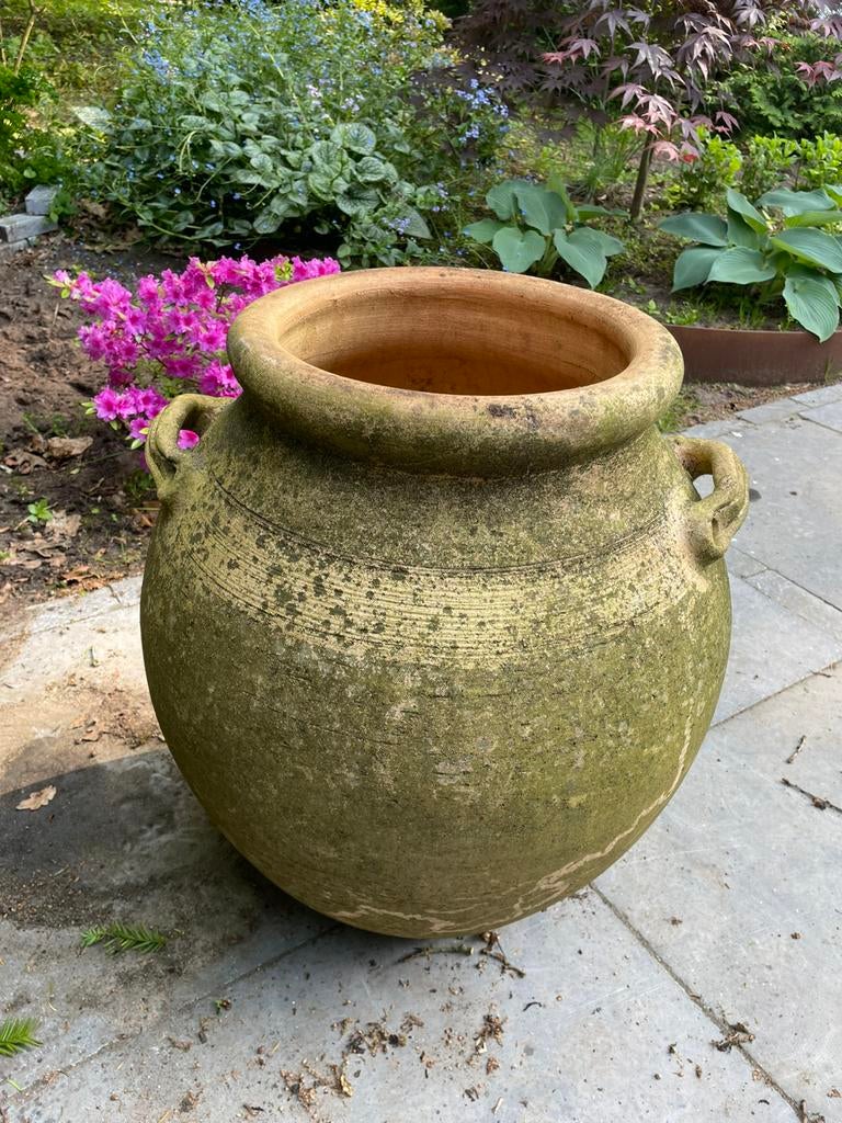 Terracotta pantenpot, Tuin en Terras, Bloempotten, Ophalen, Rond, Zo goed als nieuw, Minder dan 40 cm