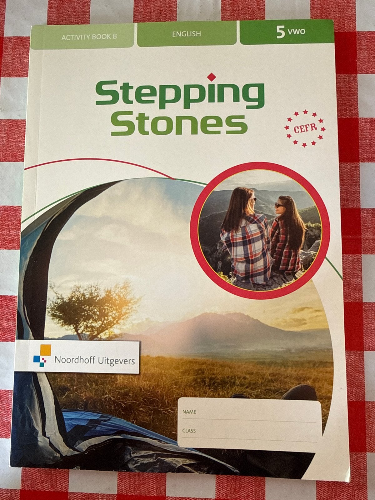 Stepping Stones Activity Book B 5 VWO Engels, Boeken, Ophalen of Verzenden, Nieuw, VWO, Engels