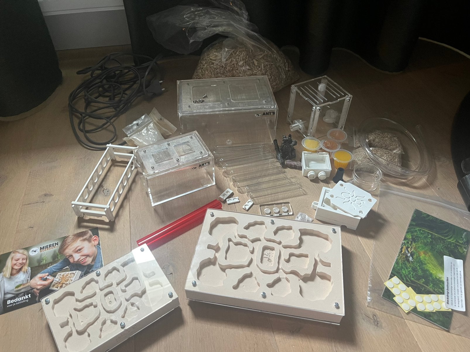 Complete mierenhoudsets, Mieren