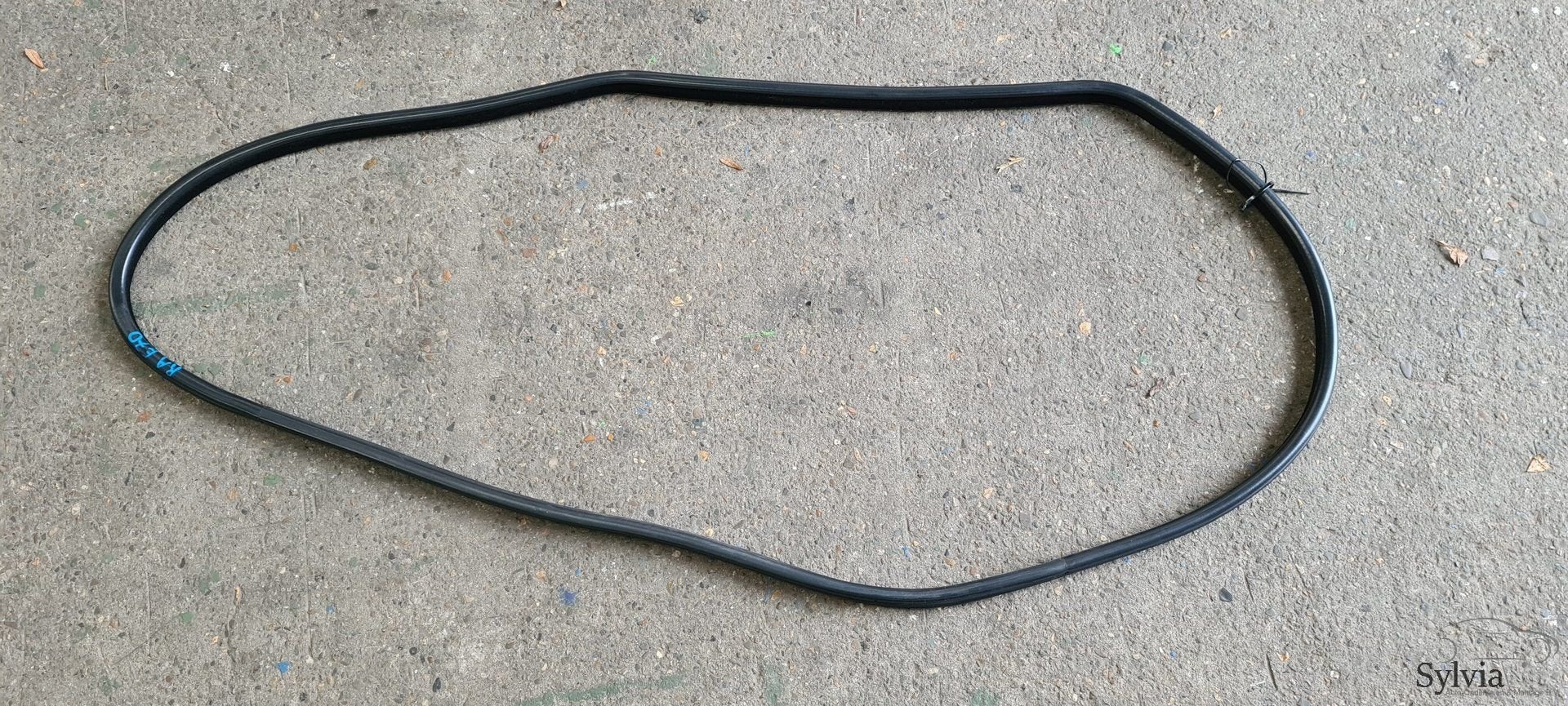 Portier deurrubber achterzijde BMW X5 E70 51767207224 720722, Gebruikt, -, -, Ophalen of Verzenden
